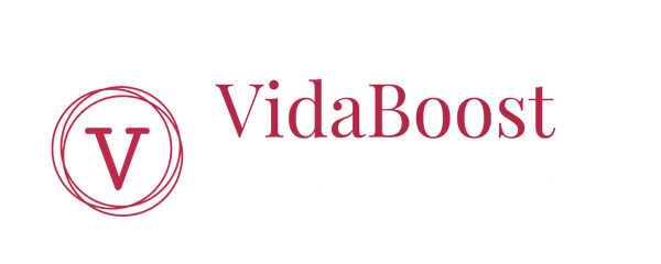 Vidaboost 